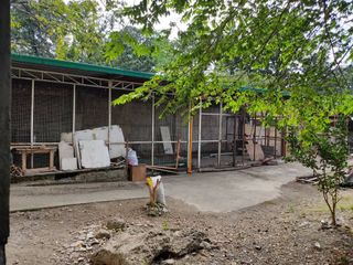 WAREHOUSE FOR RENT IN VALENZUELA