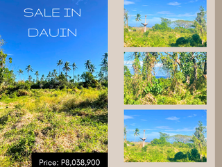 🌿 For Sale: 8,462 SQM Lot in Masaplod Norte, Dauin – Stunning Siquijor Island View! 🌊