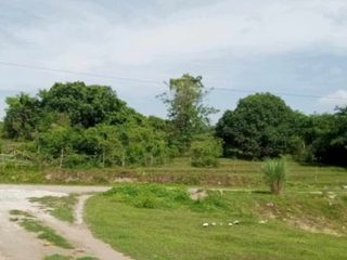 FOR SALE - Lot in San Jose, Tarlac
