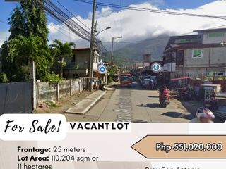 FOR SALE Vacant Lot located in Brgy San Antonio, Sto Tomas, Batangas