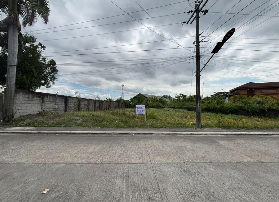 BIG Lot for sale in La Hacienda De Bacolor 363sqm near Don Bosco