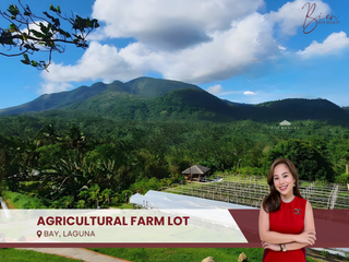 Agricultural Farm 24,700 sqm Lot in Bay, Laguna 📍 Near Tiwi Makban Geothermal Plant