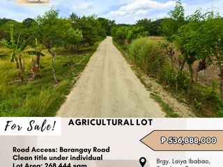 FOR SALE Agricultural Lot located at Brgy. Laiya Ibabao, San Juan, Batangas