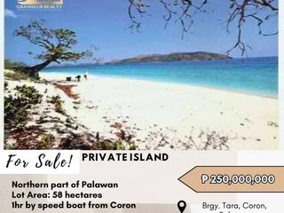 FOR SALE Island located at Brgy. Tara, Coron, Palawan