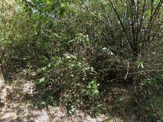 FOR SALE - Vacant Lot in Norzagaray, Bulacan