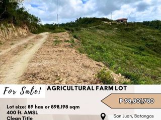 For Sale: Farm Lot located at San Juan, Batangas