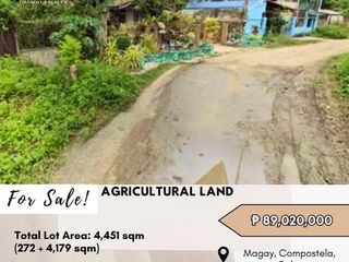 FOR SALE Agricultural Land located in Magay, Compostela, Cebu