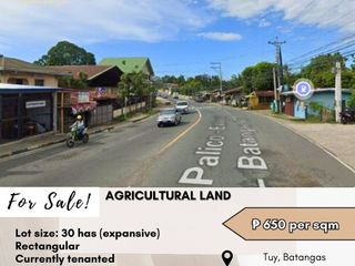 For Sale: Agricultural Land located at Tuy, Batangas