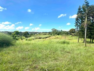 COMMERCIAL LOTS in Amadeo, Silang, Tagaytay? ALL SIZES. MAIN HIGHWAYSRead On Please