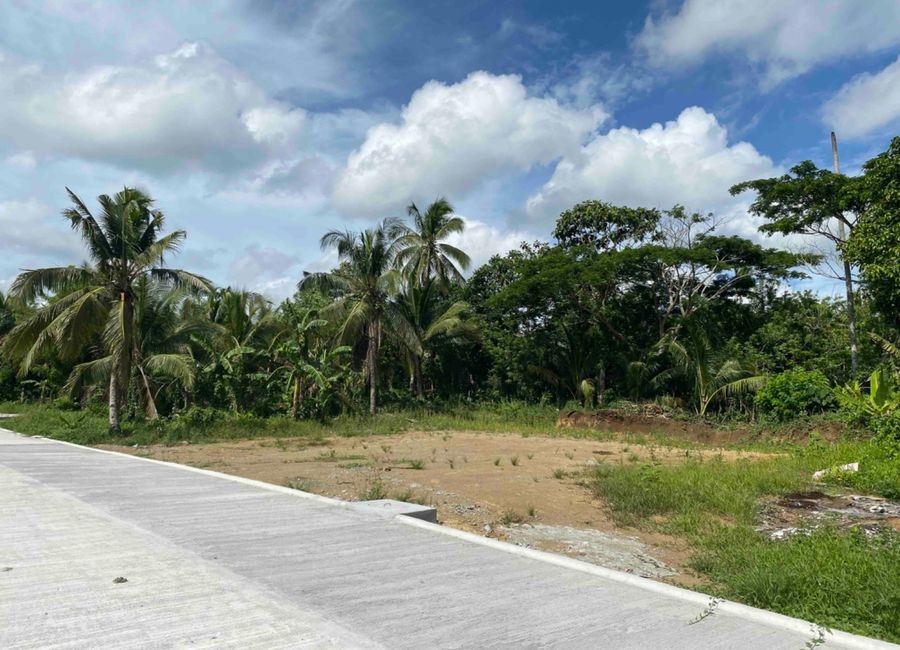 Residential Lots or House and Lots For Sale Amadeo, Silang, Tagaytay? PLEASE READ ON.