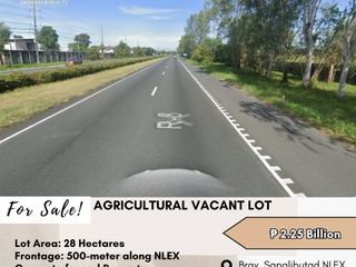 FOR SALE: Agricultural Vacant Lot located at Brgy.Sapalibutad NLEX, Angeles, Pampanga,