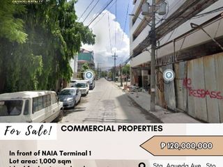 For Sale: Commercial Properties located at Sta. Agueda Ave., Sto. Niño Parañaque City