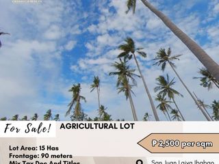 For Sale: Agricultural Lot located at San Juan Laiya Ibabao Batangas - Near Laiya White Sand Beach