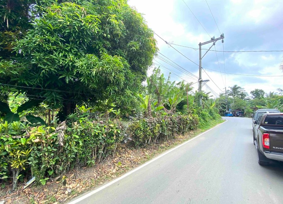 1200sqm Residential lot Amadeo, Cavite. P5k/sqm