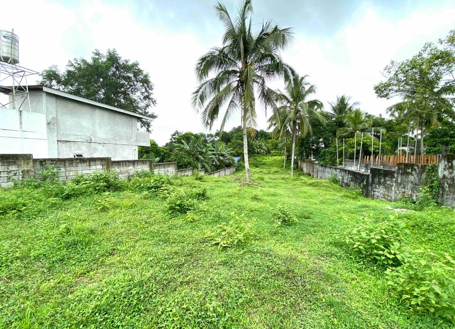 1700sqm Titled Lot. Ideal Residential or Commercial location. Amadeo. Nr E/W Road. P5.5k/sqm