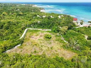 Attention : investors / entrepreneurs/ hotel or resort owners, developers. Vacant Lot for Sale near Alona Beach, great for villas in Panglao Bohol!