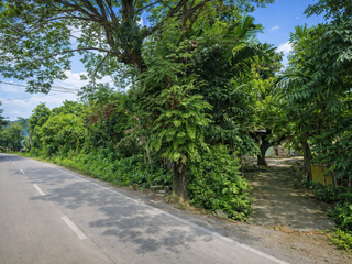 For Sale 2.6 Hectares Lot Along a National Highway in Janiuay, Iloilo