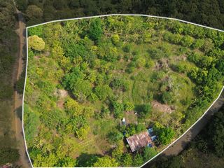 Thriving Fruit Farm For Sale in Montalban, Rizal