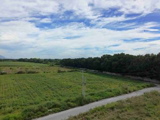 Lot for Sale In Balubad Porac Along Brgy Road (Boundary Pias)