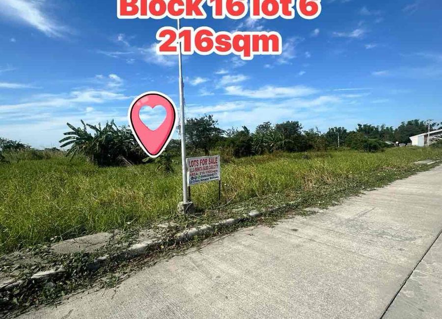 Lots for sale at Villa Benita Sub. Phase 2 near SM and S&R Cabanatuan City