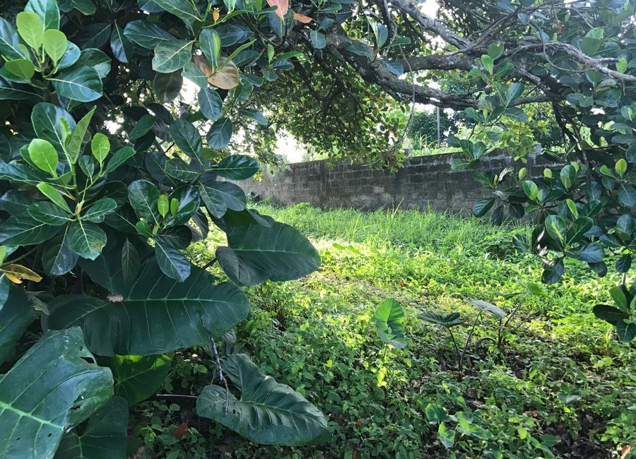 Ideal Residential Lot for Sale to Build Your House In Tranquil Tagaytay City