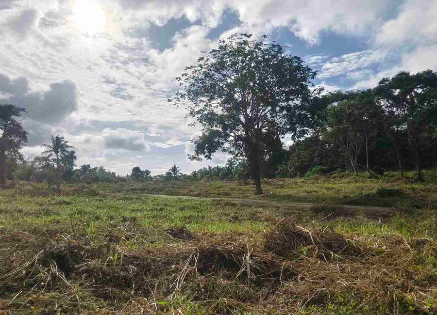 150sqm LOT IN METRO TAGAYTAY!!