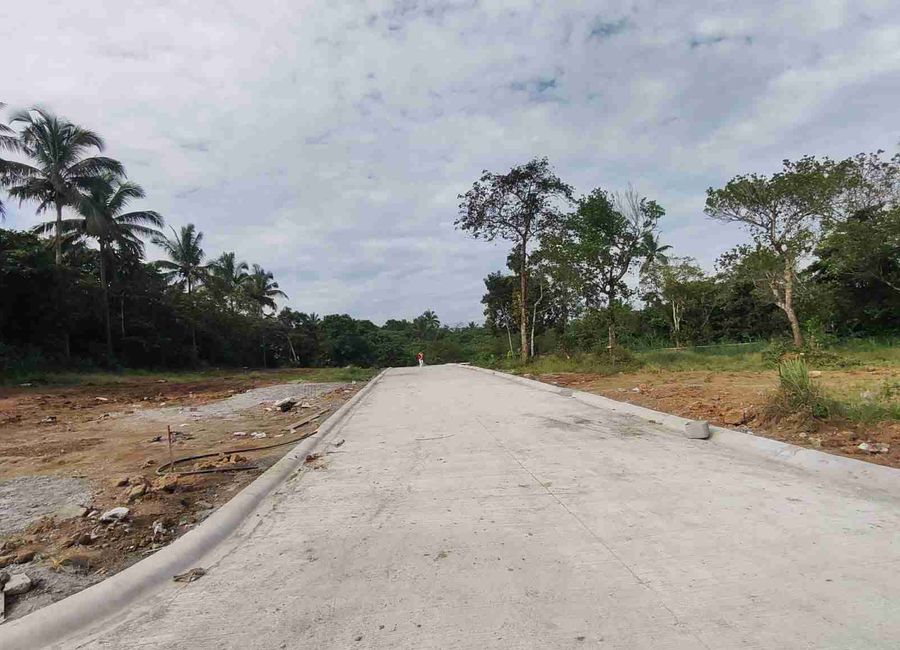 150 sqm in Asis Mendez METRO TAGAYTAY