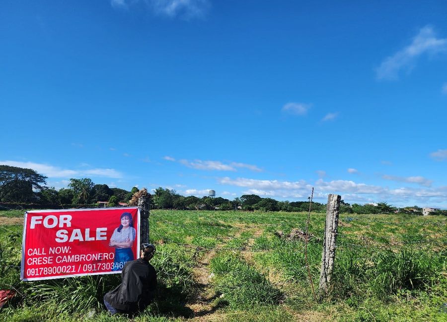 ⚡ QUICK SALE: 2-Hectare Residential Lot in Binangonan, Rizal