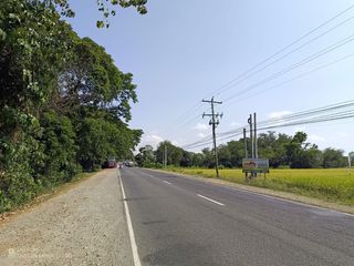 Along National Highway! Agricultural/Commercial Lot for Sale in Isabela Quezon
