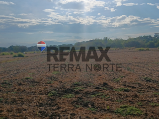 Agricultural Land for Sale in Pozorrubio, Pangasinan