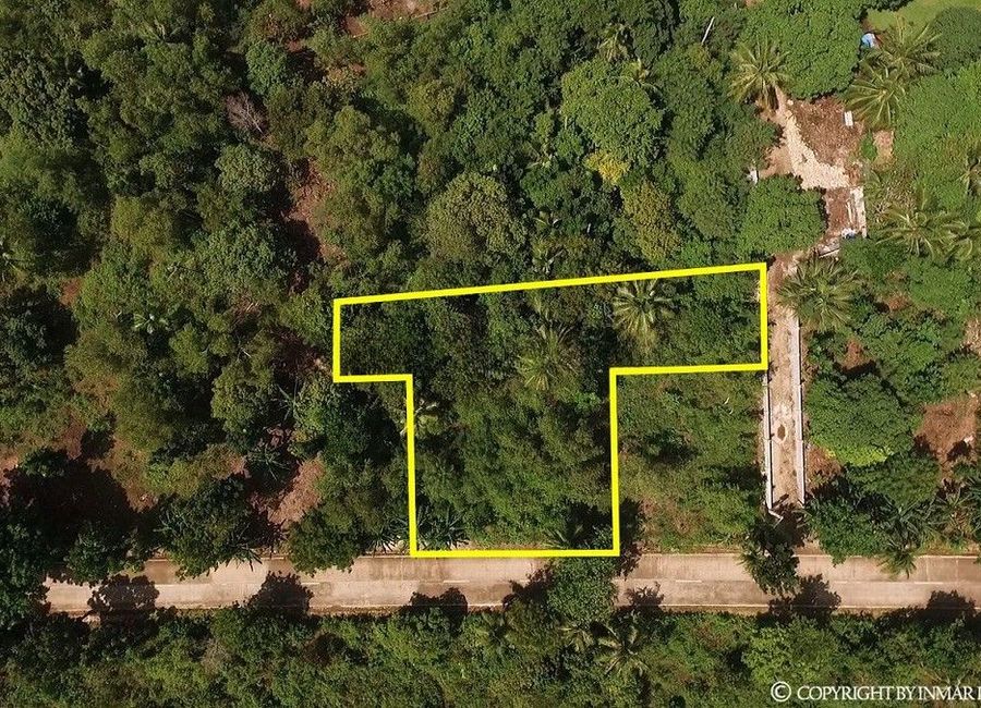 Along the Road Lot with a Building Permit for Sale in Camotes Islands, Cebu