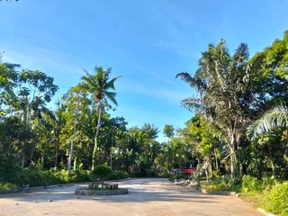 Finca Hermosa Farm lot for sale near Tagaytay 500 sqm