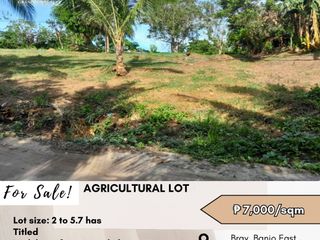 For Sale: Agricultural Lot located at Brgy Banjo East, Tanauan Batangas