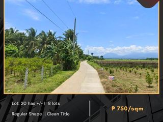 For Sale: Rawland located at Brgy. San Isidro, CANDELARIA, QUEZON