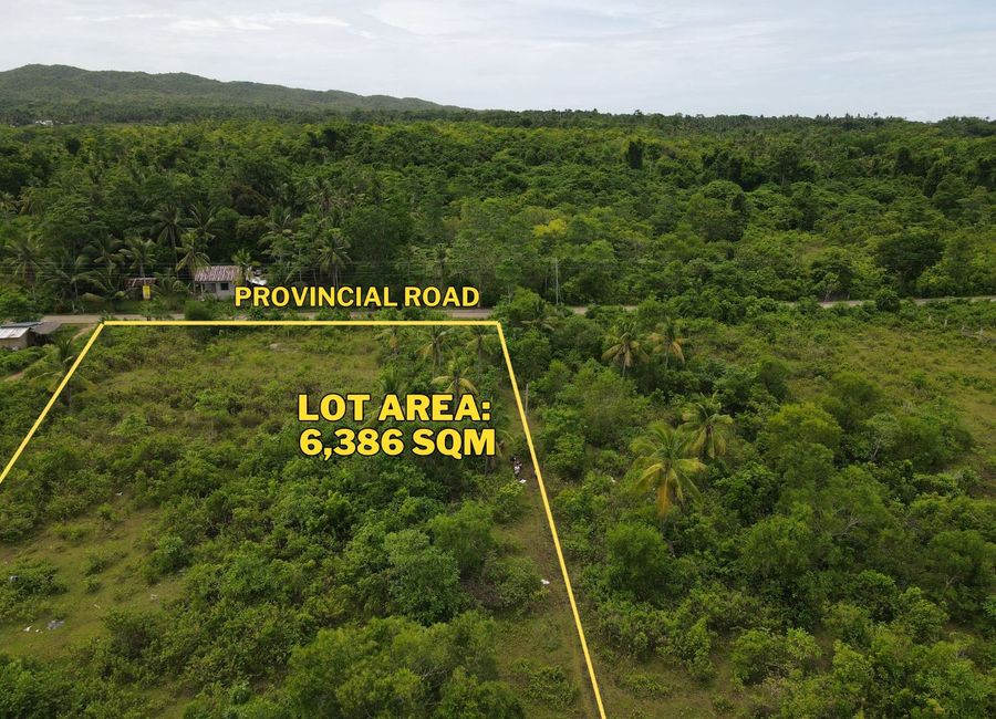 Flat Land for Sale – 6,386 SQM Prime Lot in Consuelo, San Francisco, Camotes Island, Cebu