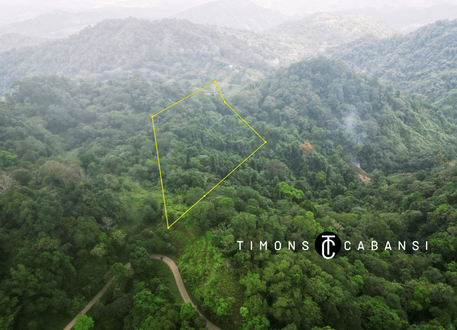 2.5-Hectare Raw Land in Sablan, Benguet – Build Your Farm or Agri ...