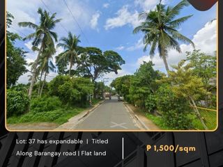 For Sale: Agricultural Lot located at Barangay Pagolingin West and Rizal Lipa City, Batangas