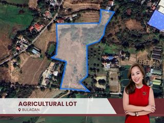 17,406 sqm Agricultural Lot for Sale in Bulacan City | Perfect Investment! | ₱3k/sqm