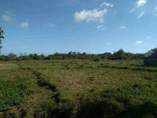 FOR SALE - Agricultural Land in Brgy. Calasaguen, Brooke's Point, Palawan