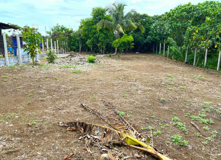 537sqm Titled Lot Amadeo, Cavite. P4.5m neg