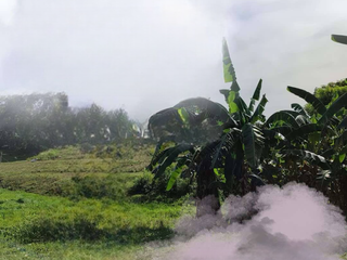 FOR SALE - Agricultural Land in San Jose Del Monte, Bulacan