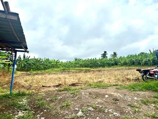 1.1 Hectares Vacant Residential Lot in Kaybagal Central Tagaytay City