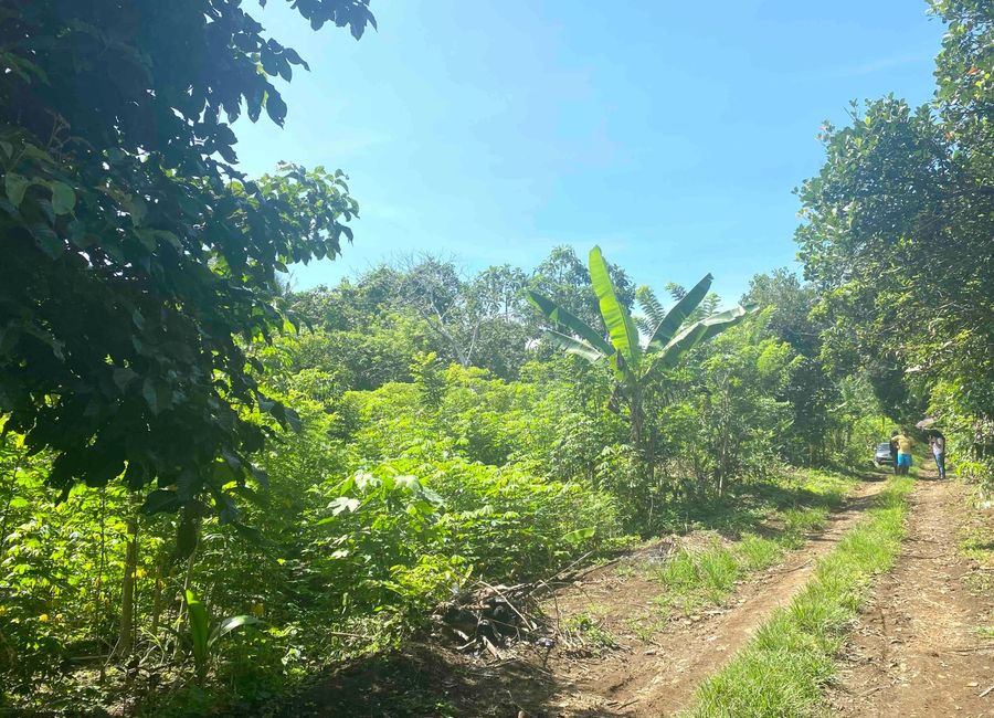 Great Location. Titled Residential Lot 2248sqm, Amadeo, Cavite. just P9m