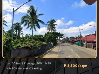 For Sale: Agricultural Lot located at Brgy. Tangway Lipa City, Batangas