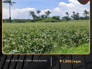 For Sale: Agricultural Lot located at San Andres, Malvar, Batangas