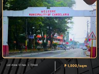 For Sale: Agricultural Lot located at Brgy. Masin Candelaria, Quezon