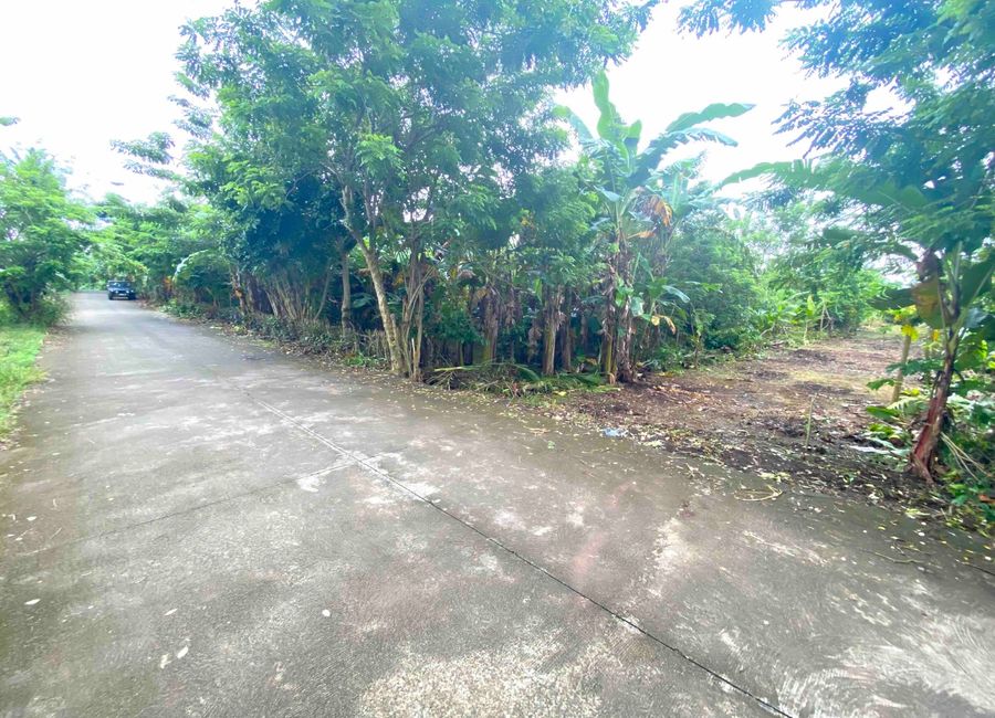 NEW. 5 x 1345sqm lots Amadeo, Cavite. P6k/sqm