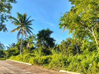PROPERTY FOR SALE LOT ONLY IN ALFONSO CAVITE FOR RETIREMENT AND INVESTMENT
