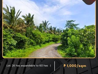 For Sale: Agricultural Lot located at Sariaya Quezon - along Tr4