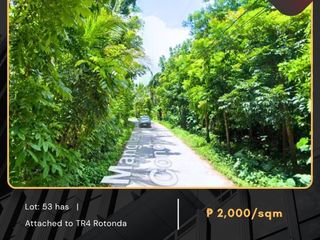 For Sale: Agricultural Lot located at Candelaria Quezon